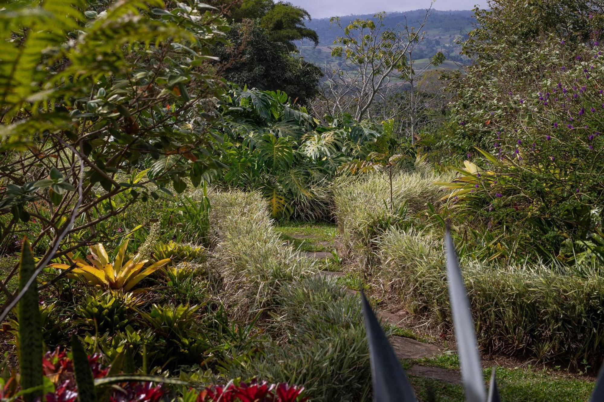 Aquiares Coffee Farm Casa Hacienda La Esperanza Bed & Breakfast Turrialba Exterior photo