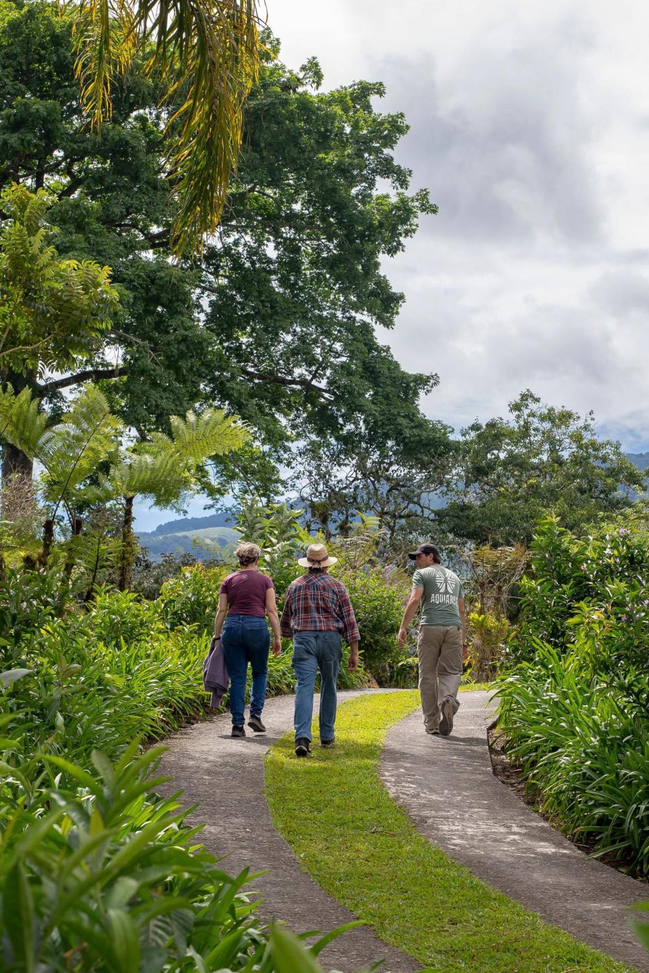 Aquiares Coffee Farm Casa Hacienda La Esperanza Bed & Breakfast Turrialba Exterior photo