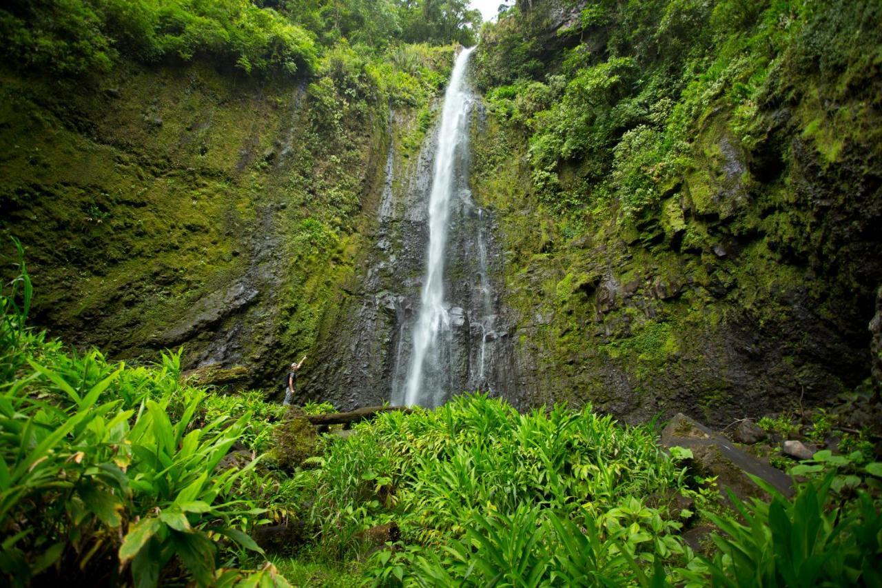 Aquiares Coffee Farm Casa Hacienda La Esperanza Bed & Breakfast Turrialba Exterior photo