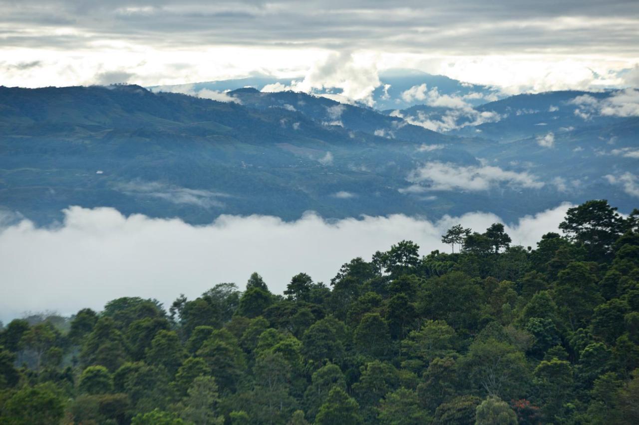 Aquiares Coffee Farm Casa Hacienda La Esperanza Bed & Breakfast Turrialba Exterior photo